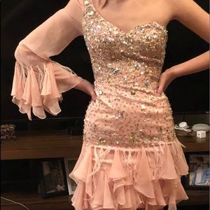 Pink Feathered and Rhinestone Short Dress